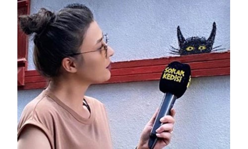 'SOKAK KEDİSİ'NE SALDIRANLAR SERBEST BIRAKILDI